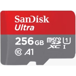 SDSQUAC-256G-GN6MN