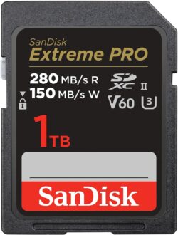 SDSDXEP-1T00-GN4IN