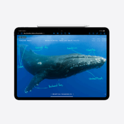 MVX83X/A - Image 2