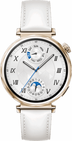 GT5-41-WH
